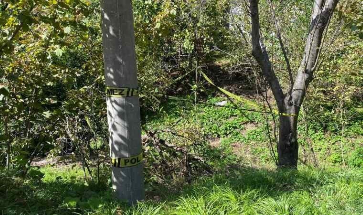 Zonguldak’ta domuz sanılarak vurulan 80 yaşındaki kadın öldü