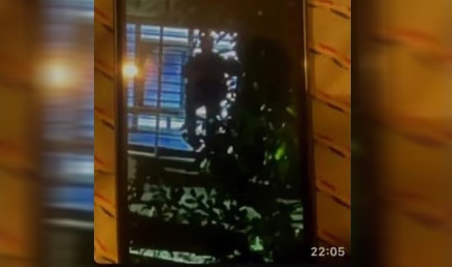 Zonguldak’ta evleri gözetleyen şahıs ‘serbest’ bırakıldı