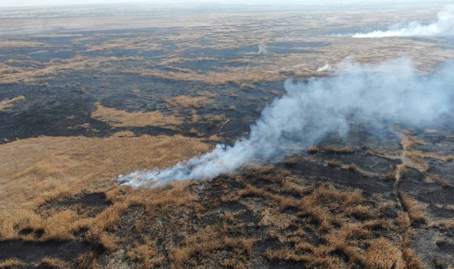 1 haftadır devam ediyordu: Eber Gölü’ndeki sazlık yangını söndürüldü
