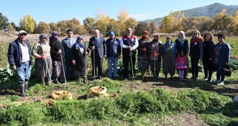 Acıpayam’da hasat başladı: Dekar başına verim 6 ton…