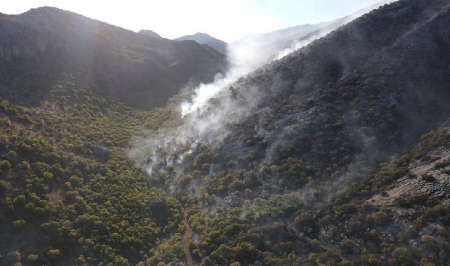 Adıyaman’daki yangın 2 gündür devam ediyor!