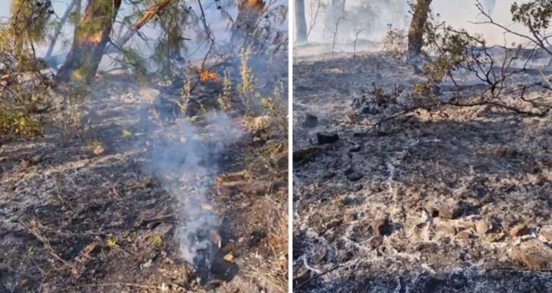 Antalya’da hava aracı ormanlık alana düşmüştü… Görgü tanıkları konuştu: ‘Patlama çok büyüktü’