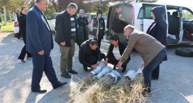 Asya’ya özgü lezzet Erzincan Ovası’nda yetiştirilecek! Alternatif tıpta önemli bir yer sahip…