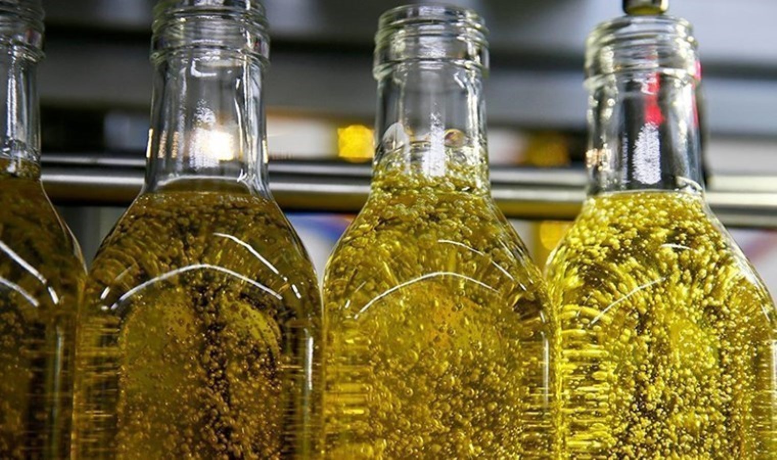 Aydın’da ele geçirildi: Piyasa değeri 1 milyon 640 bin TL!