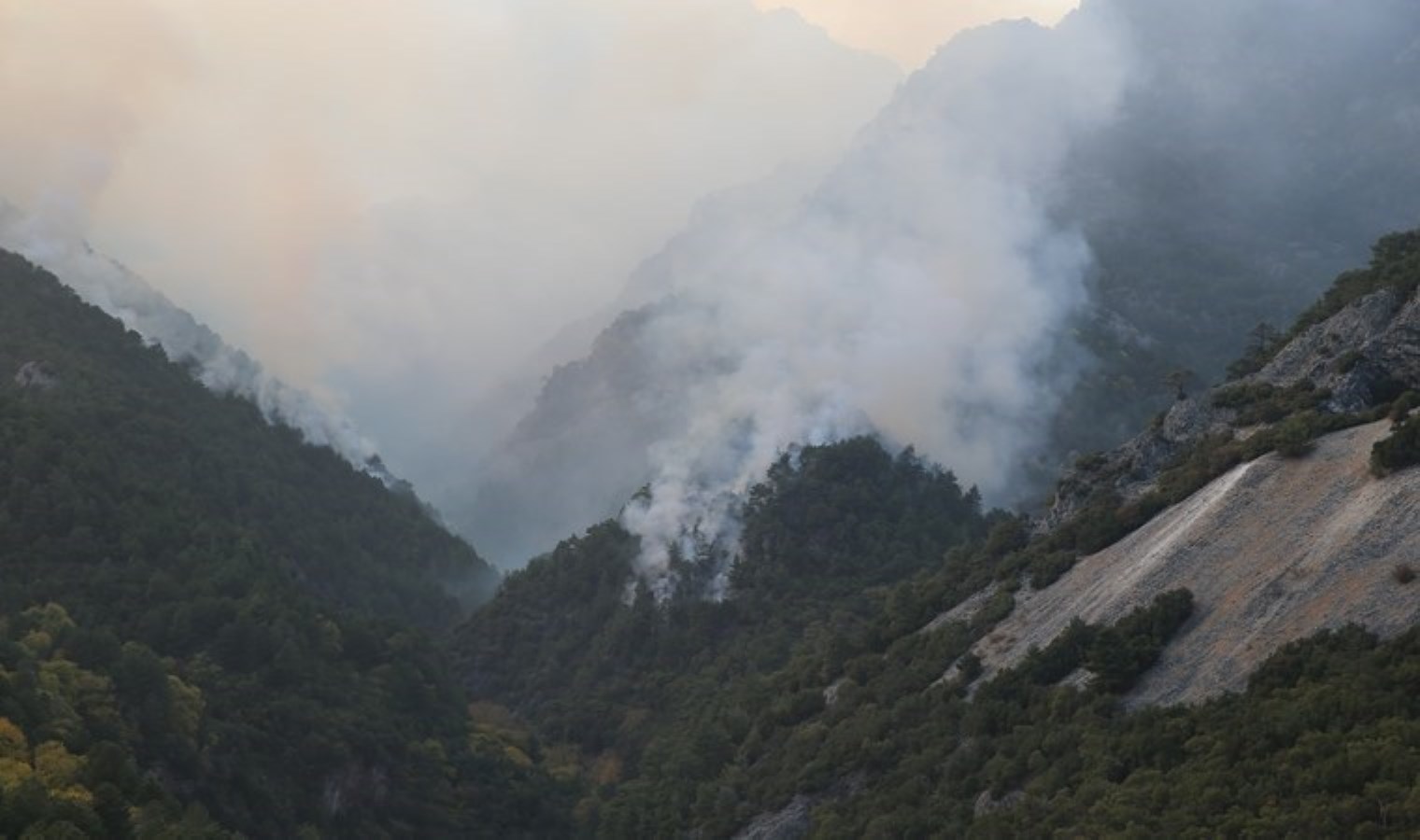 Denizli’deki orman yangını 5 gündür sürüyor!