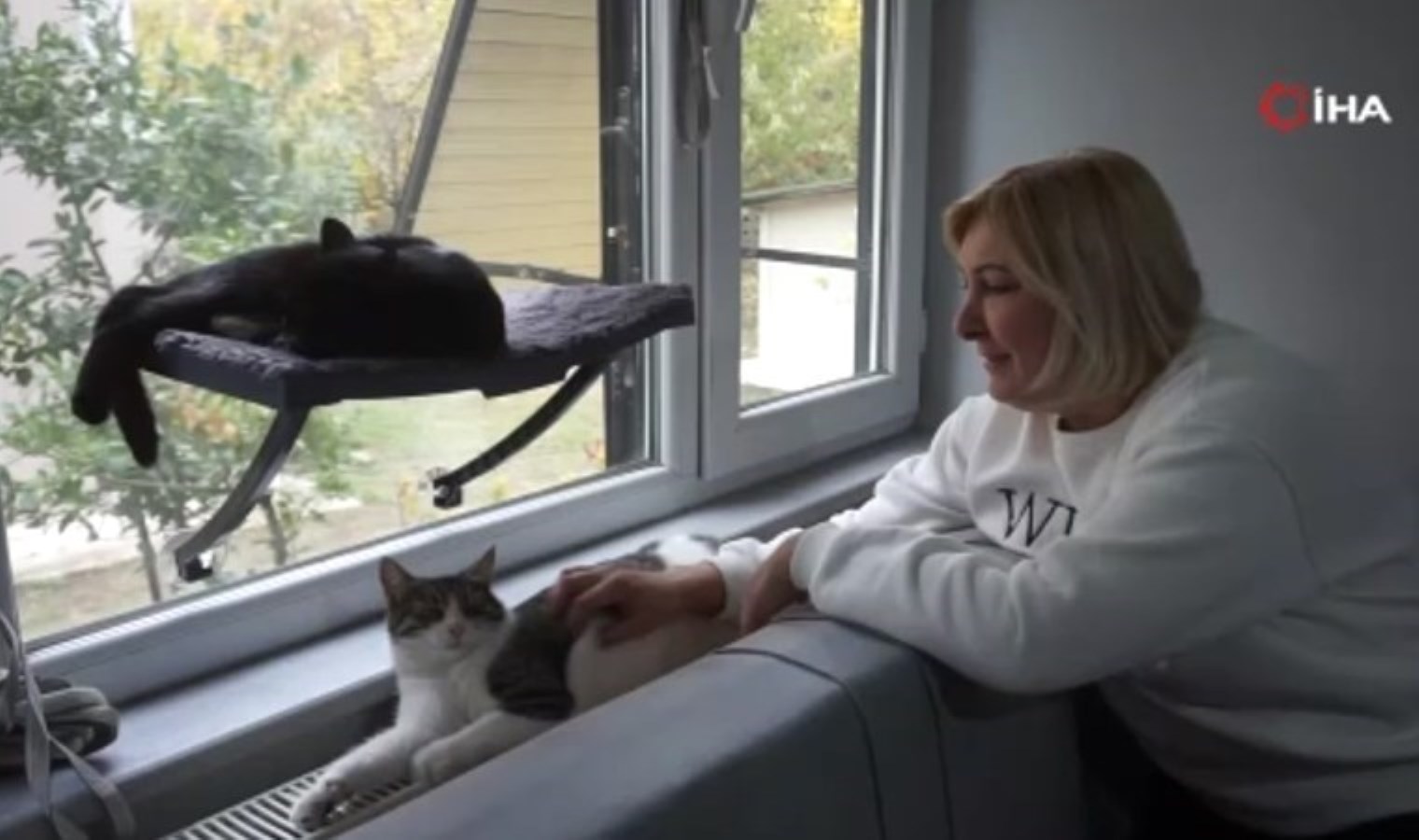 Evini sokak kedileriyle paylaşıyor… Evinin bir odasını sokak kedilerine yuva yaptı