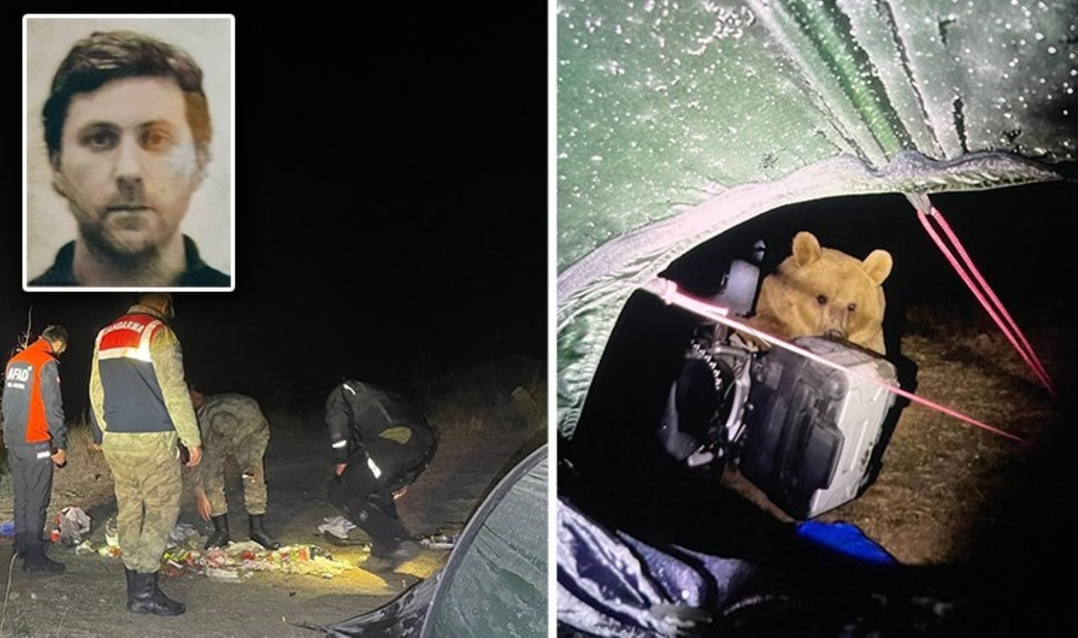 İngiliz turist, Nemrut’ta ayıların saldırısına uğradı