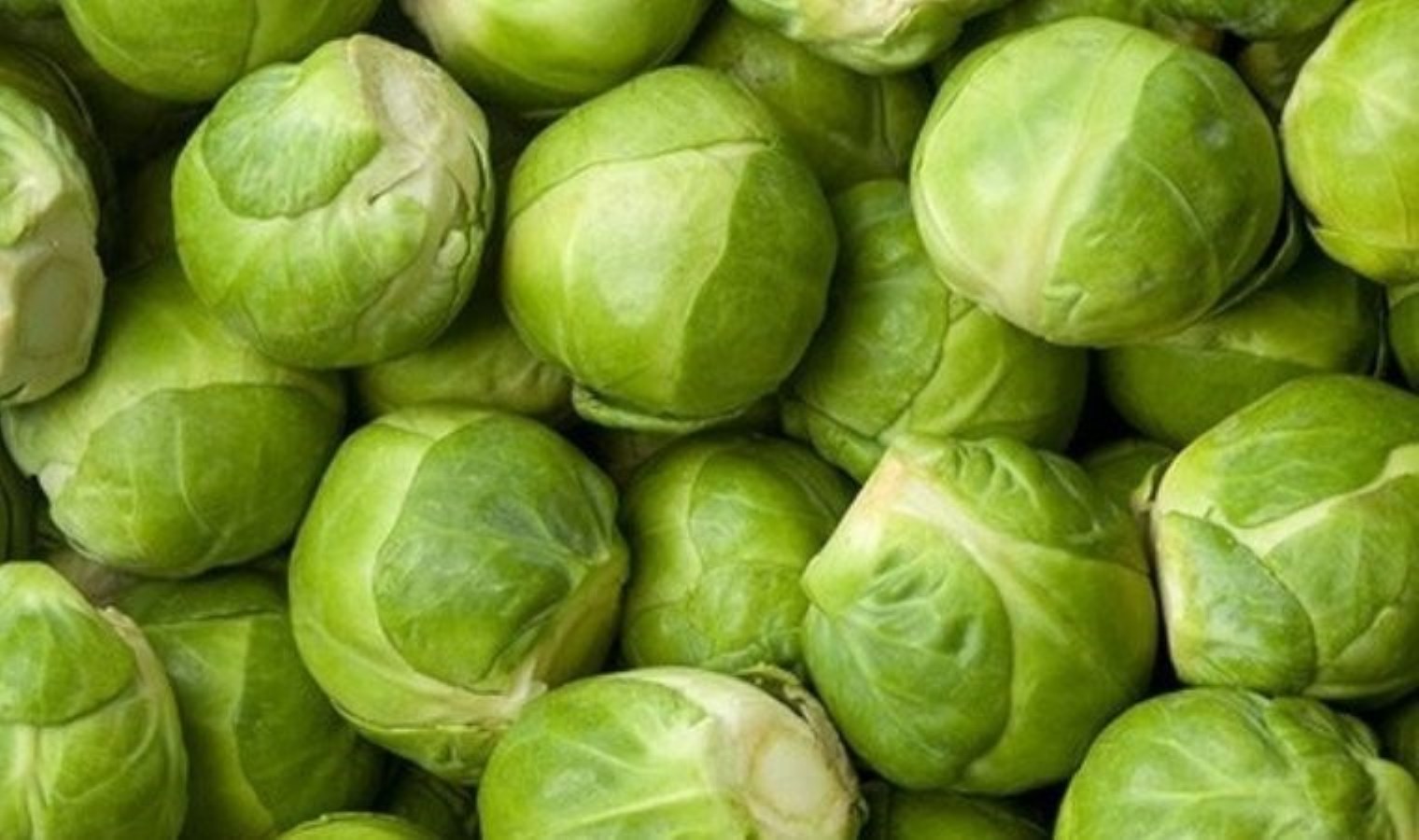 Karnı dümdüz yapıyor: Yiyen gün boyu acıkmıyor