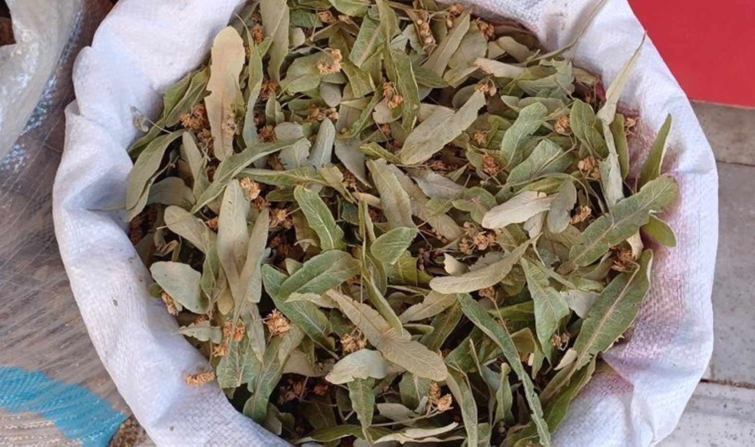 Kış geldi tüketimi arttı! Şifa deposuna talep çok, ürün az!