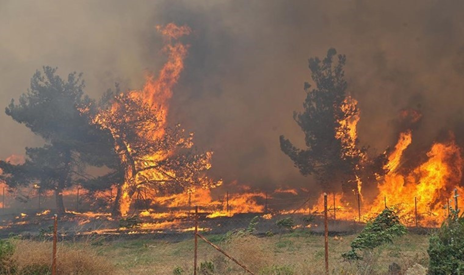Kütahya’da orman yangını paniği! İnceleme başlatıldı