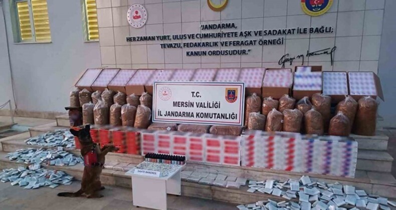 Mersin’de kaçakçılık operasyonu: 208 bin adet makaron ele geçirildi