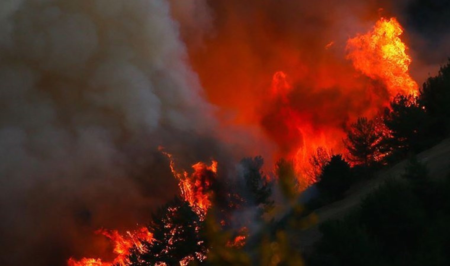 Mersin’de yangın paniği: Kontrol altına alındı