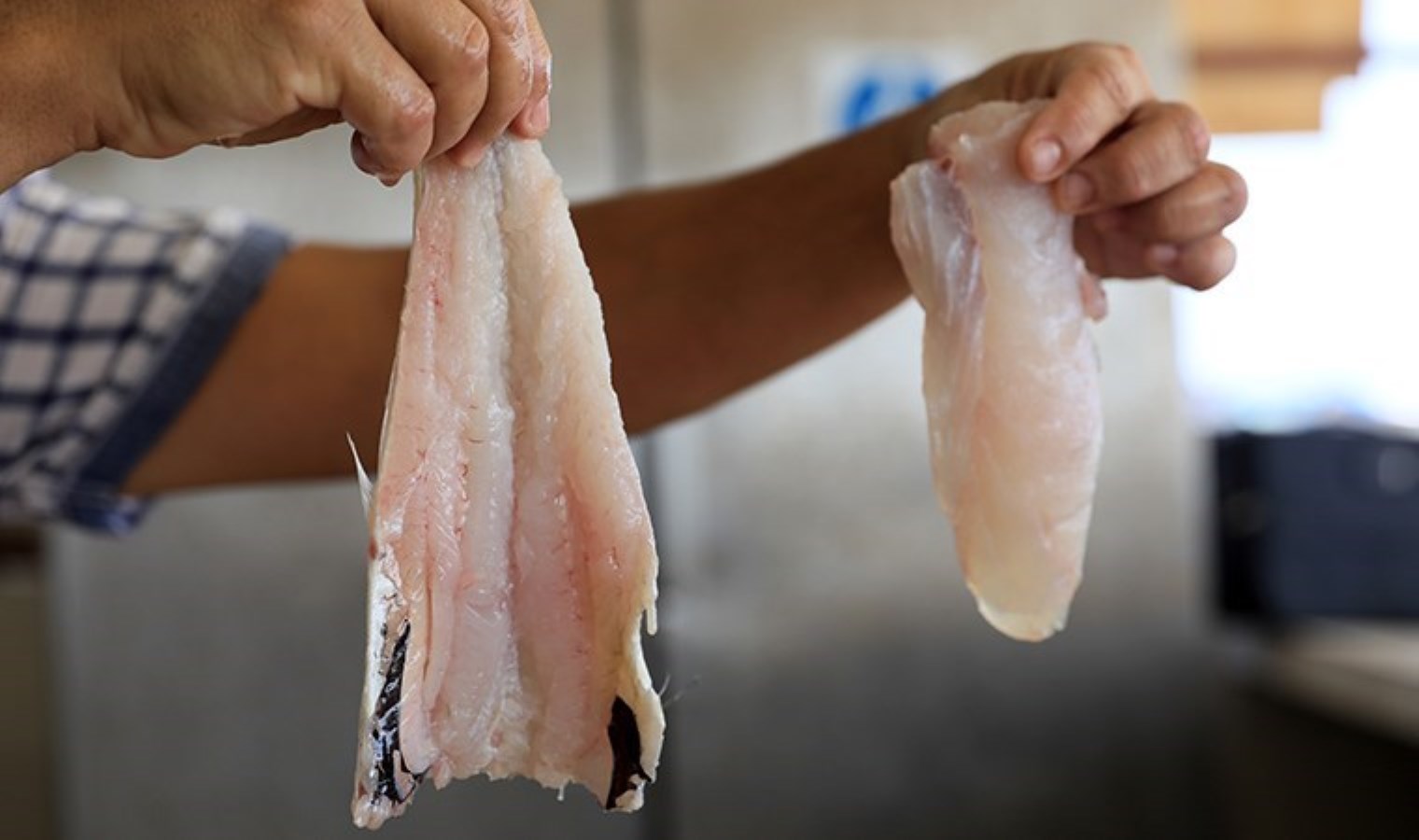 Mezgitin kilosu 750 lirayı buldu: Yarı fiyatına ‘zehir’ uyarısı