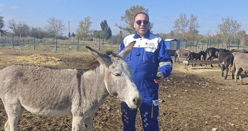 Ölüme terk edilen yaralı eşeği hayvanseverler kurtardı