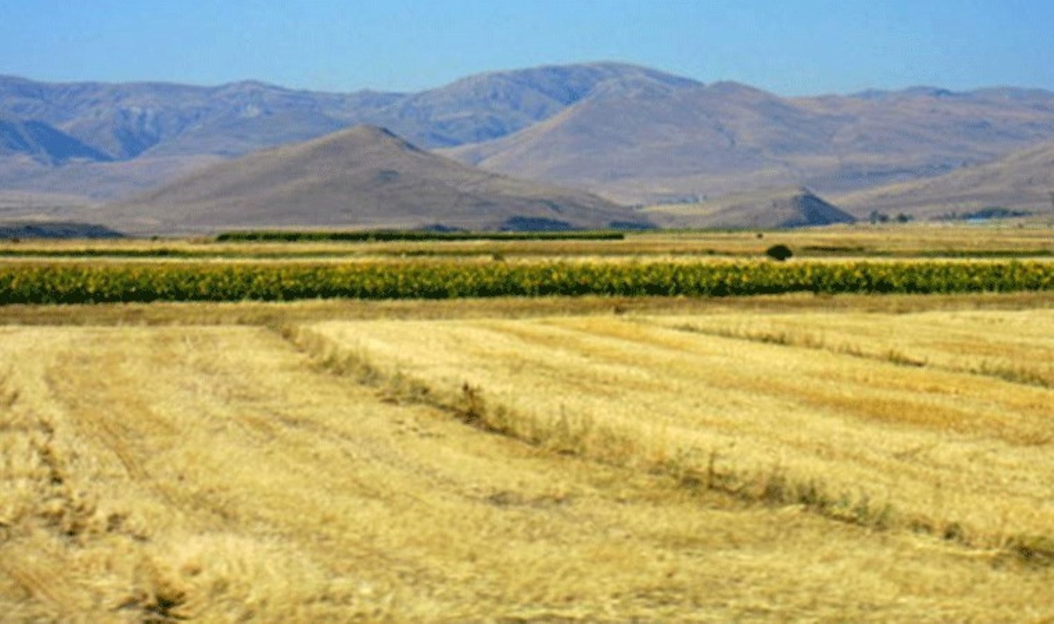 Resmi Gazete’de yayımlandı: 28 bölge ‘büyük ova koruma alanı’ olarak belirlendi