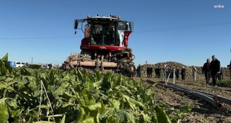 Tarım-ÜFE yıllık yüzde 35,46 arttı