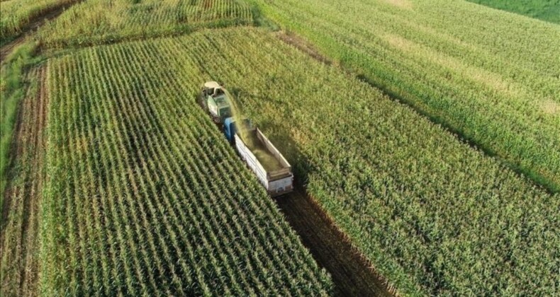 Türk tarım ürünleri için İngiltere pazarında yeni fırsatlar yolda