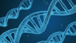 Türklerin genetik kodları ortaya çıktı! 81 şehirden 4 bin kişinin DNA’sı incelendi