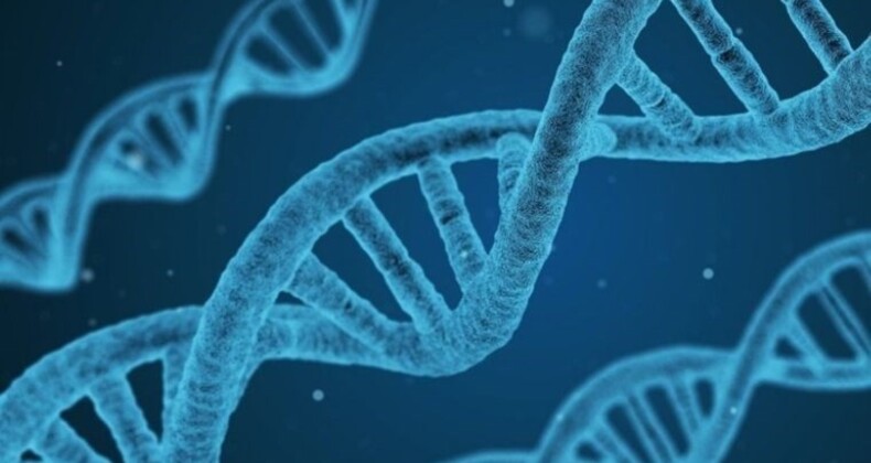 Türklerin genetik kodları ortaya çıktı! 81 şehirden 4 bin kişinin DNA’sı incelendi