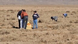 Zarar eden çiftçi, yetiştirdiği patatesi bedava dağıttı