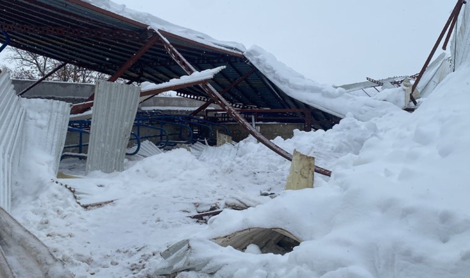 Ahırın çatısı, karın ağırlığına dayanamadı: 17 hayvan öldü