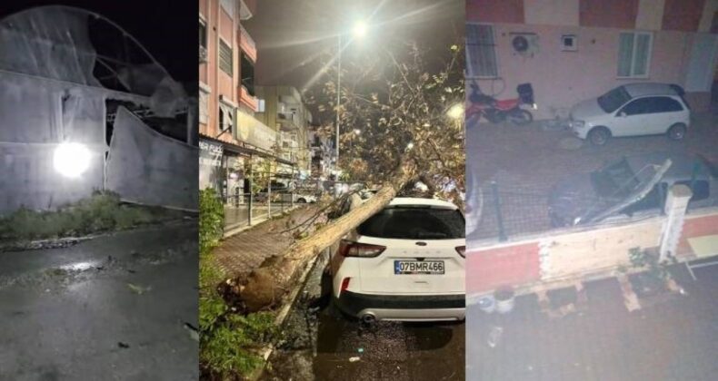 Antalya’da ağaçlar devirdi, seralar yıkıldı: Yetkililerden uyarı