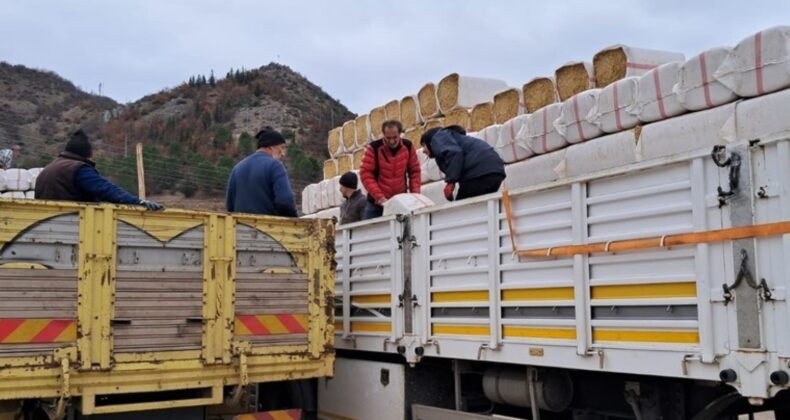 Besiciler isyan etti: ‘Saman altın fiyatına çıktı, çiftçilik bitti’