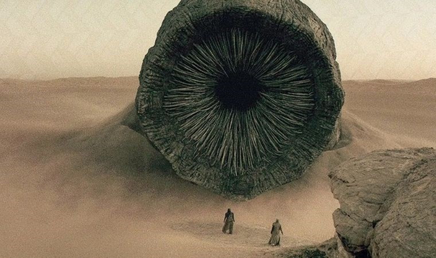 Dune evreni Dünya’da yaşanmış olabilir! 50 milyon yıllık dev solucan kertenkele türü keşfedildi