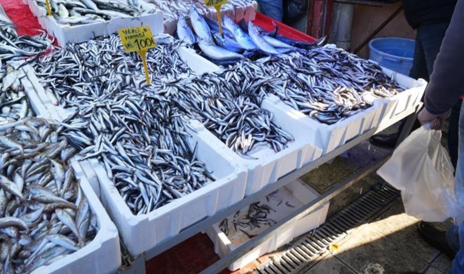 Gün geçtikçe irileşiyor: Kilosu 80 TL’ye düştü! Kapış kapış satılıyor…