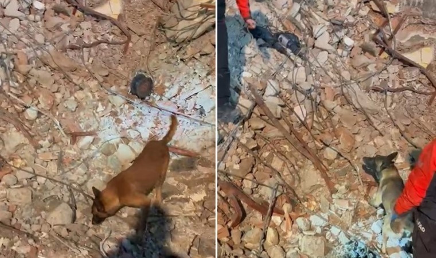 Güngören’de çöken binanın enkazında kalan işçi 53 saatin ardından bulundu