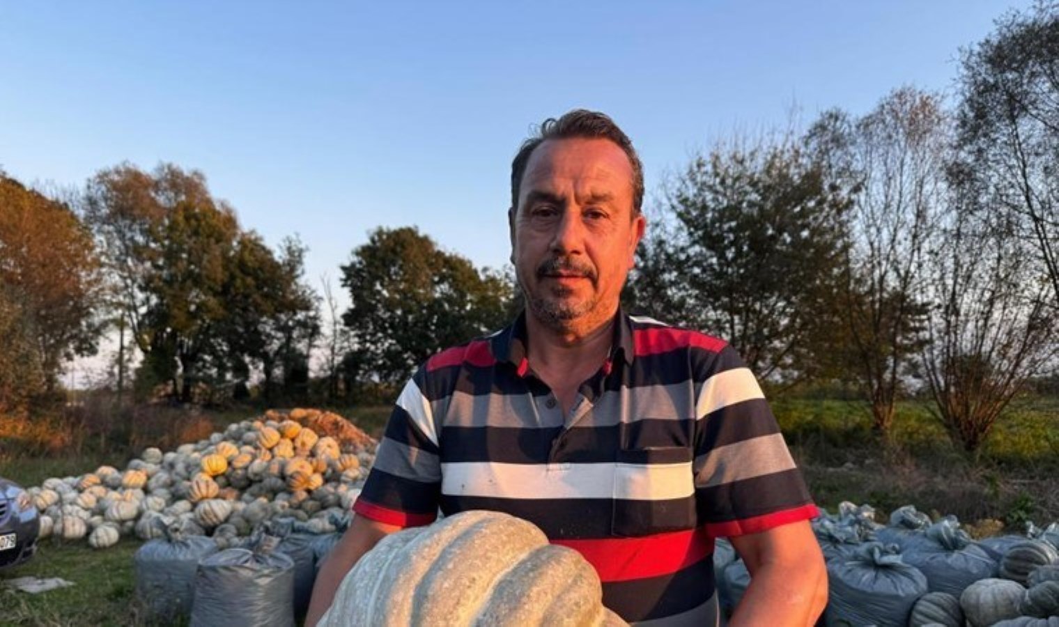 Hasadı bitti, 10 liradan tezgaha indi! Humuslu topraklarda yetişiyor…