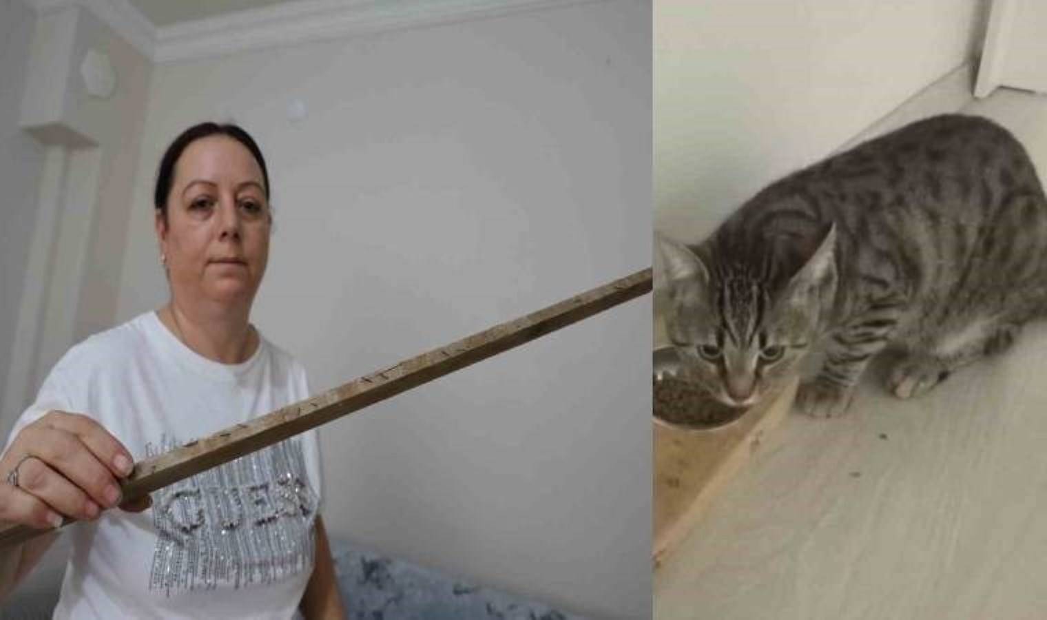 İzmir’de ev sahibi dehşeti! ‘Kedinizi atın’ diyip kiracı çifti çivili sopalarla darp etti