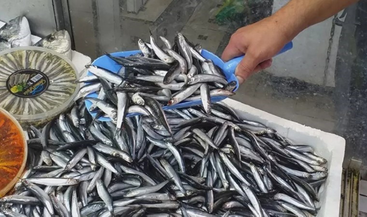 Karadeniz hamsisi lezzetlendi, fiyatı uçtu! Çinakop fiyatıysa düşüşte…