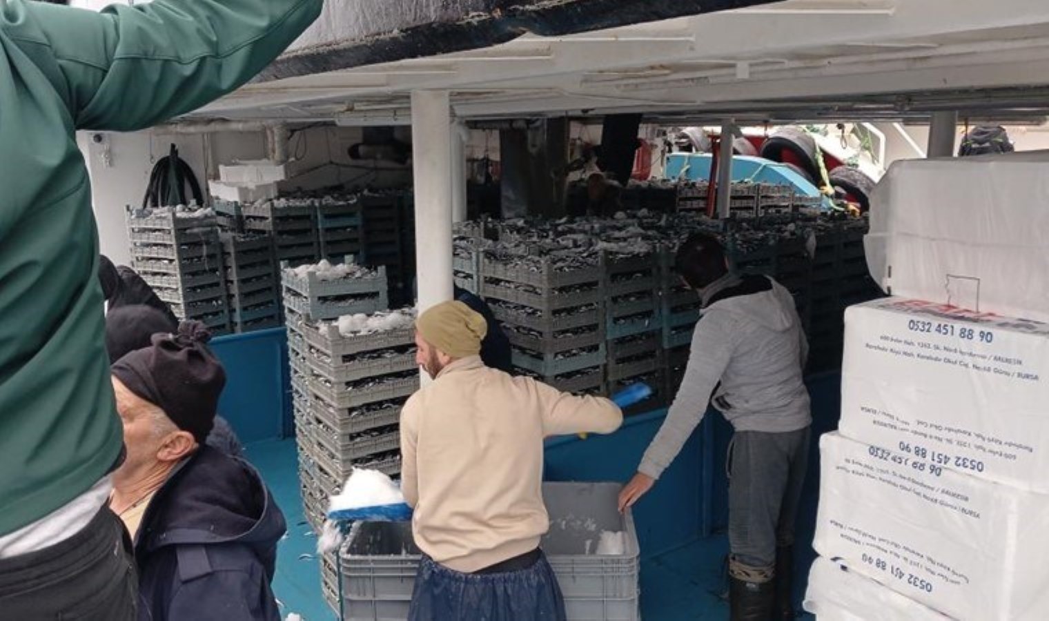 Karadeniz’den tonlarca çıktı! Hem tezgaha un fabrikalarına sevk ediliyor: Kilosu 100 lira!