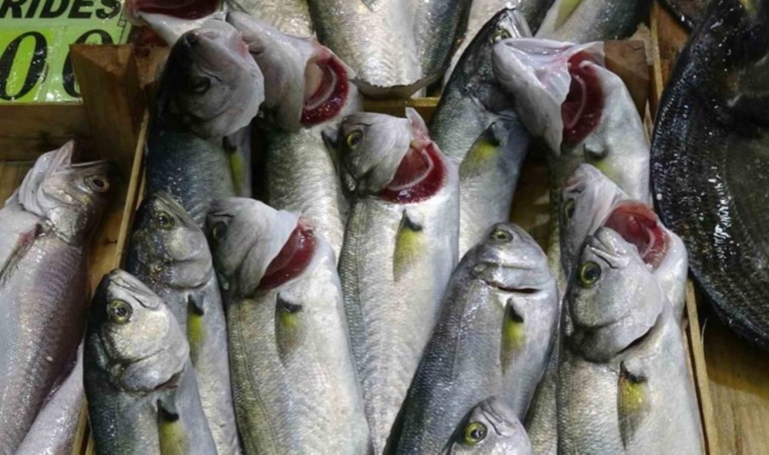 Kışın taze lezzeti: Aralık ayı balıkları