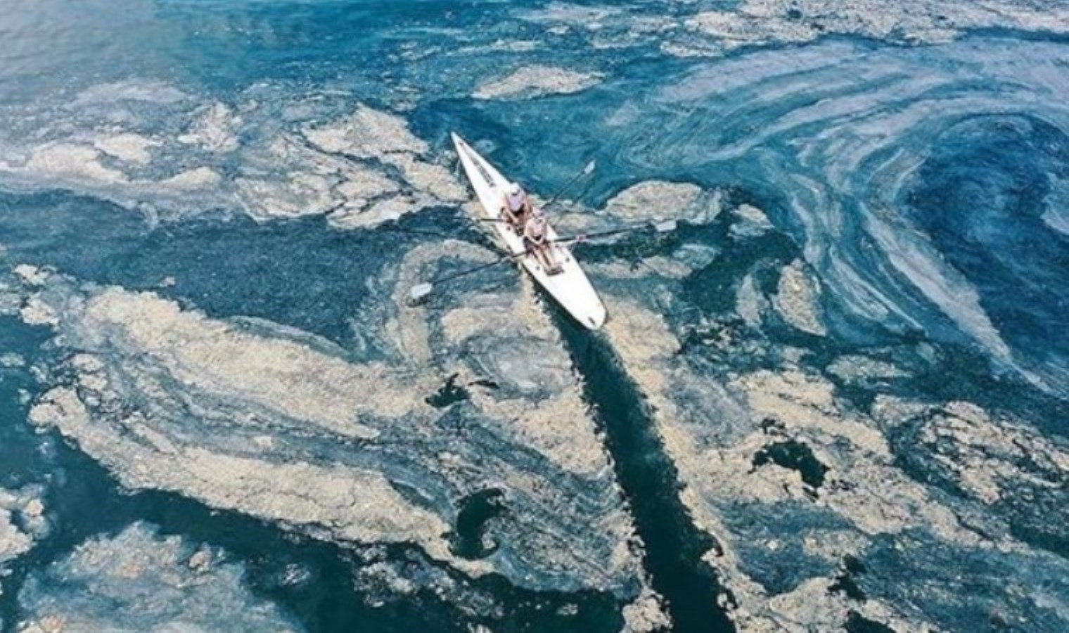 Marmara Denizi’nin sessiz felaketi: Prof. Dr. Sarı’dan müsilaj için kritik uyarı!