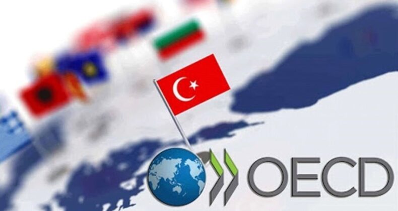 OECD’den 2025 Türkiye ekonomisi büyüme tahmini!