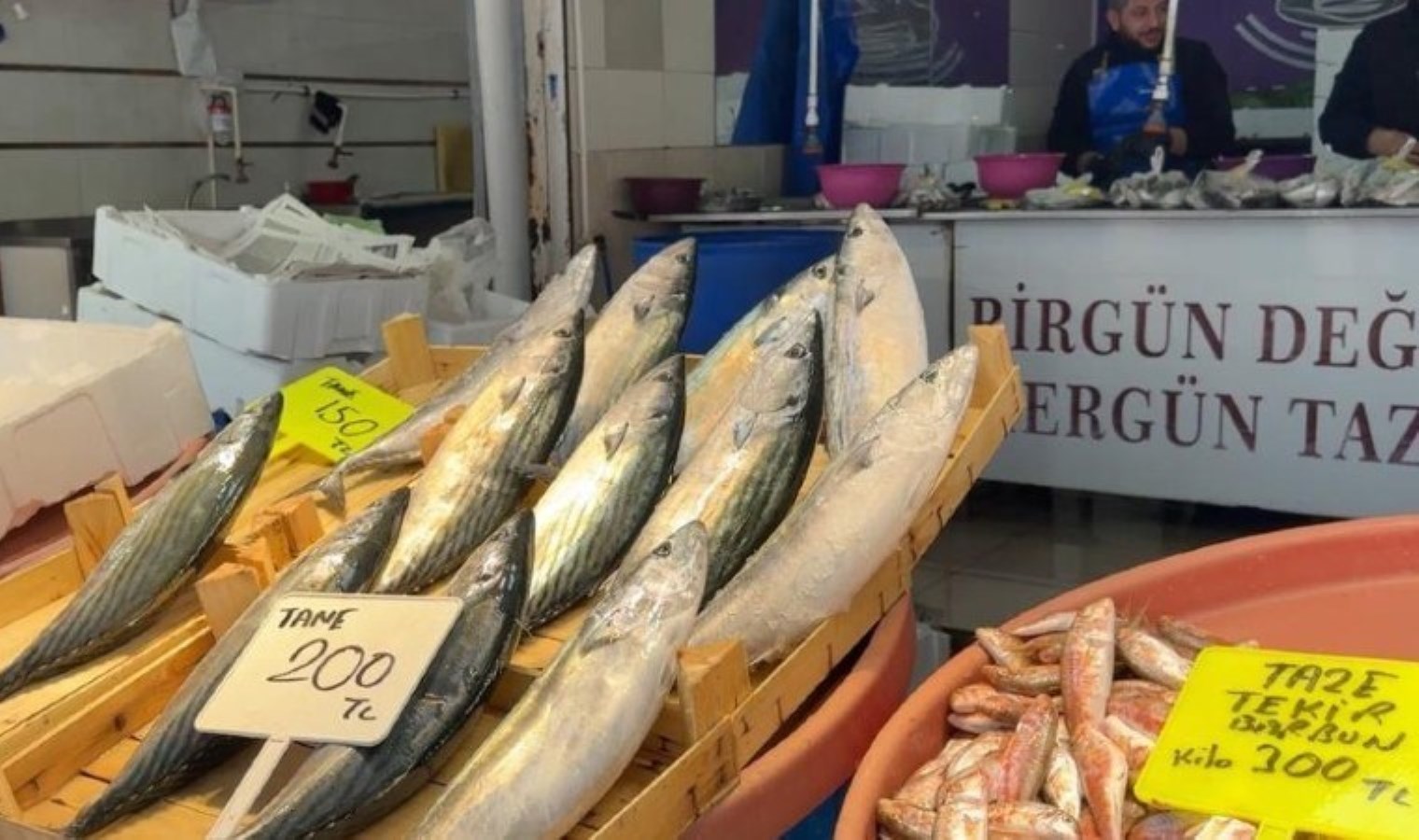 Palamuda veda zamanı! Tezgahın yeni başrolü belli oldu: Kilosu 300 TL….