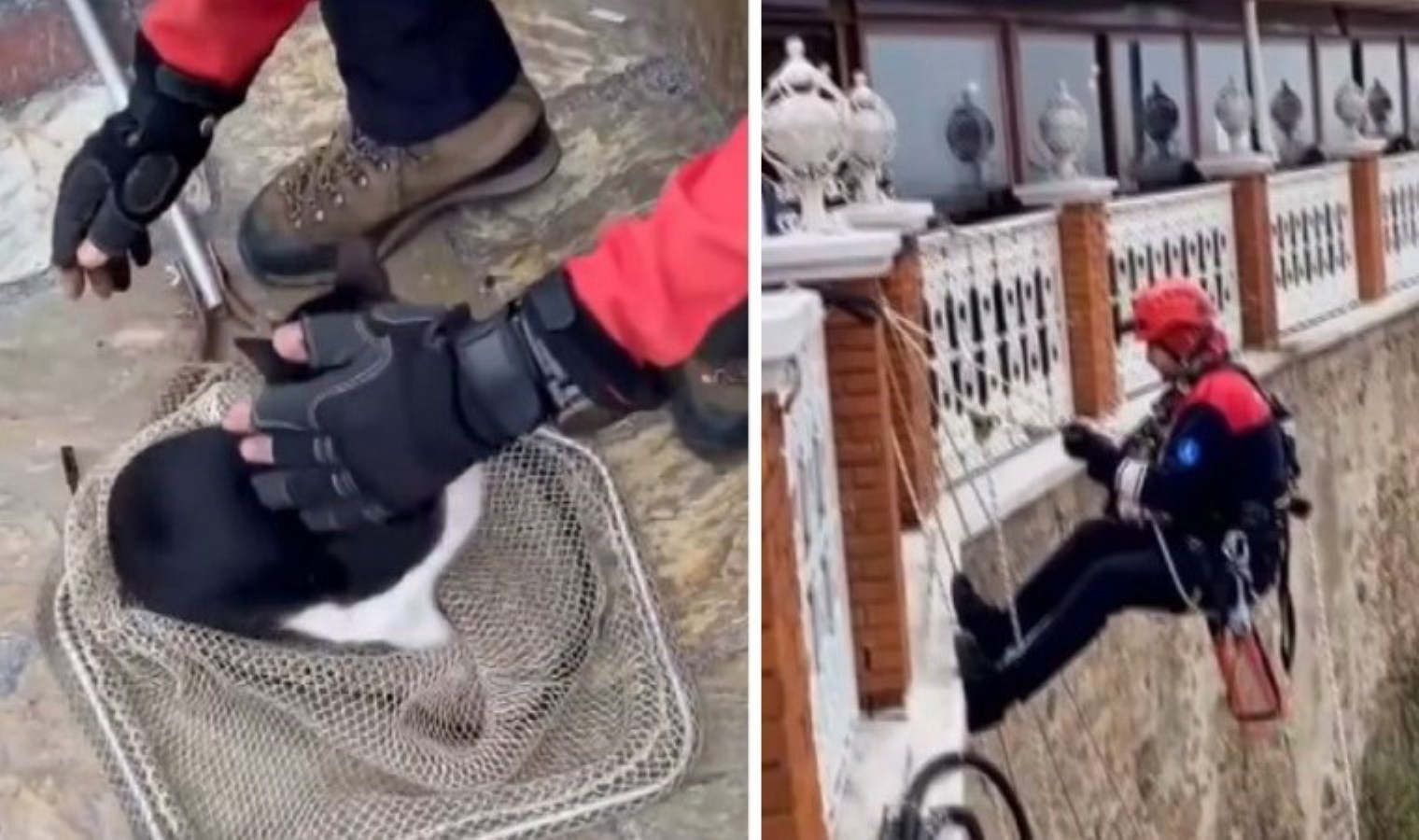 Tellerde mahsur kalan kediyi itfaiye kurtardı: ‘Tamam geçti, korkmasın…’