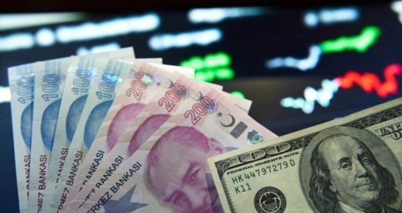 Türk Lirası 4 yılın zirvesinde! Merkez Bankası verileri ortaya çıkardı…