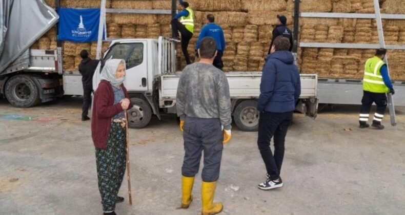 Yangın mağduru çiftçilere 225 ton yem desteği