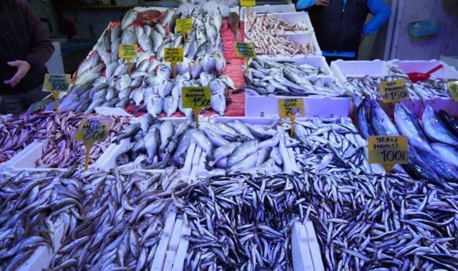 2024’te 200 TL’den satılıyordu! Bu yıl fiyatı 100 TL’ye düştü…