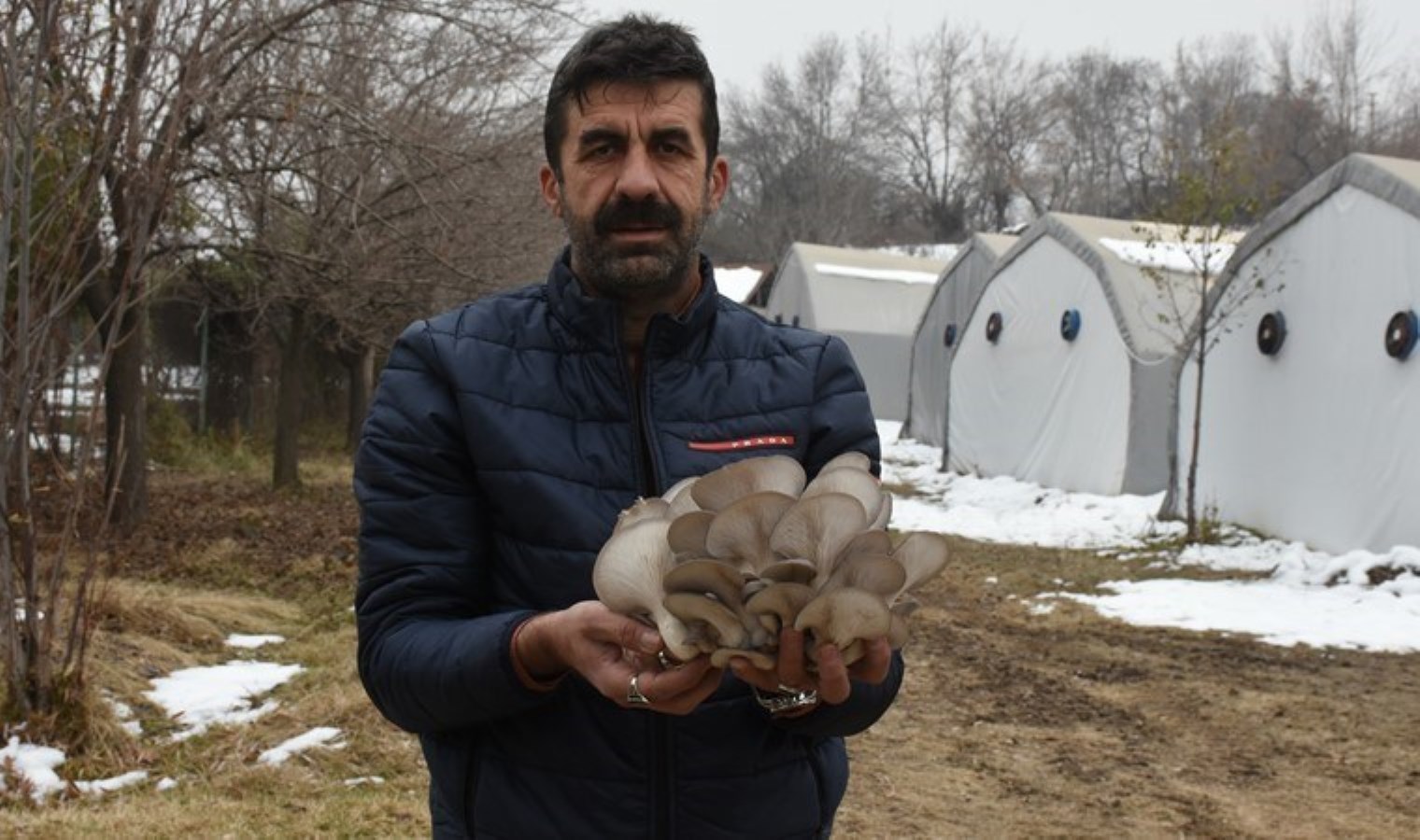 4 yıl önce üretmeye başladı, siparişlere yetişemiyor! Kasa kasa satılıyor: Kilosu 120 TL