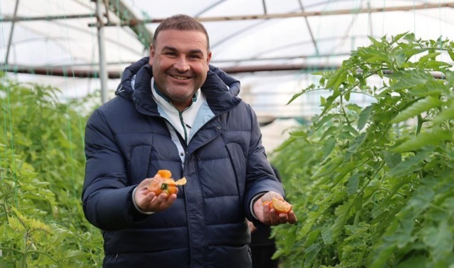 400 metrekareyle başladı, 30 dönüme ulaştı! İlk hasadı başladı…