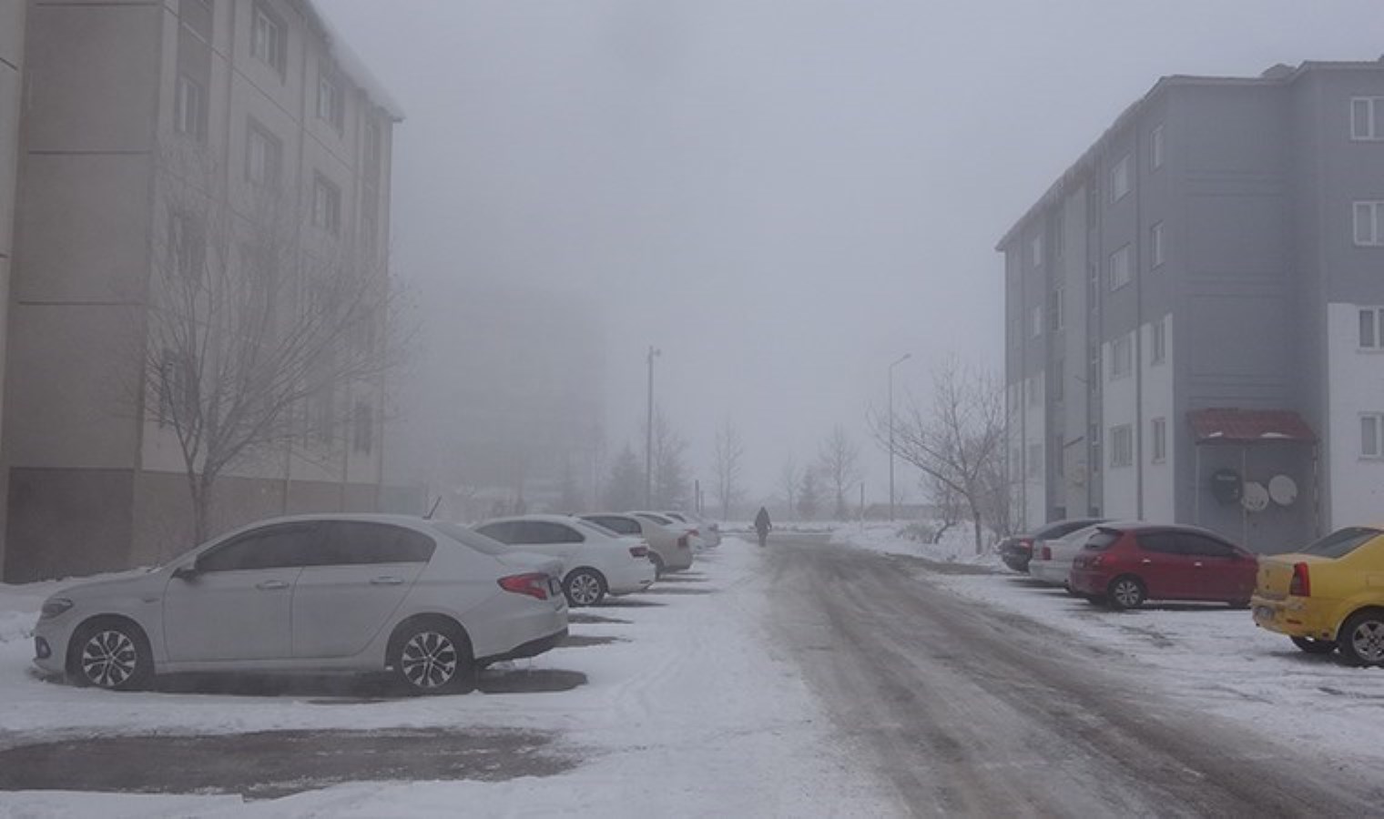 75 personelden ‘kar’ mesaisi: Bitlis’te kapanan 28 köy yolu ulaşıma açıldı