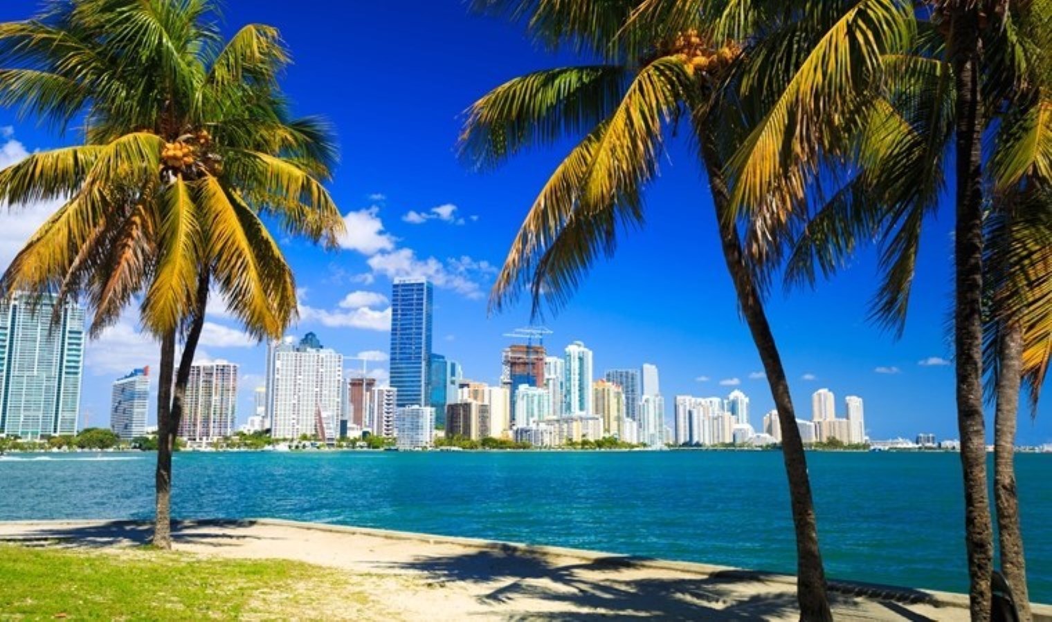 ABD’de çevrimiçi alışveriş turu çılgınlığı! Tatil sezonunda 280 milyar doları aştı…