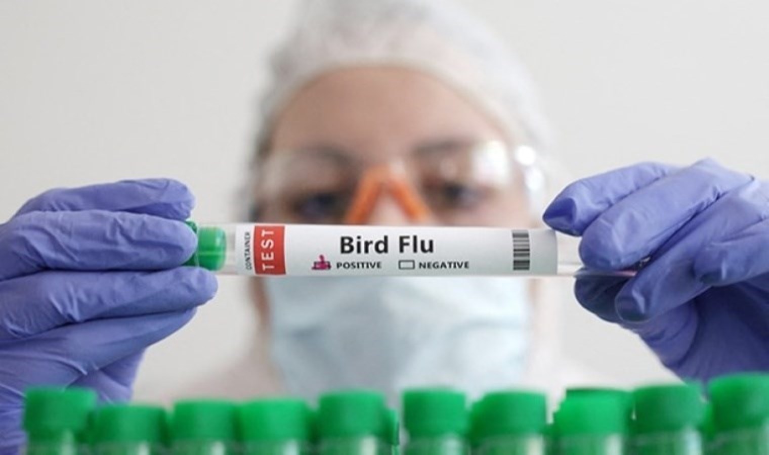 ABD’nin California eyaletinde ‘acil durum’ ilan edildi