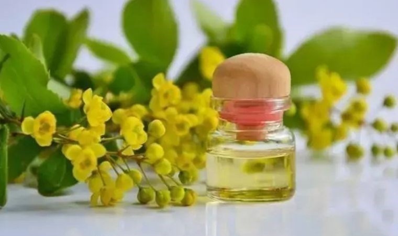 Alman bilim insanları öneriyor: Egzamayı anında bitiriyor