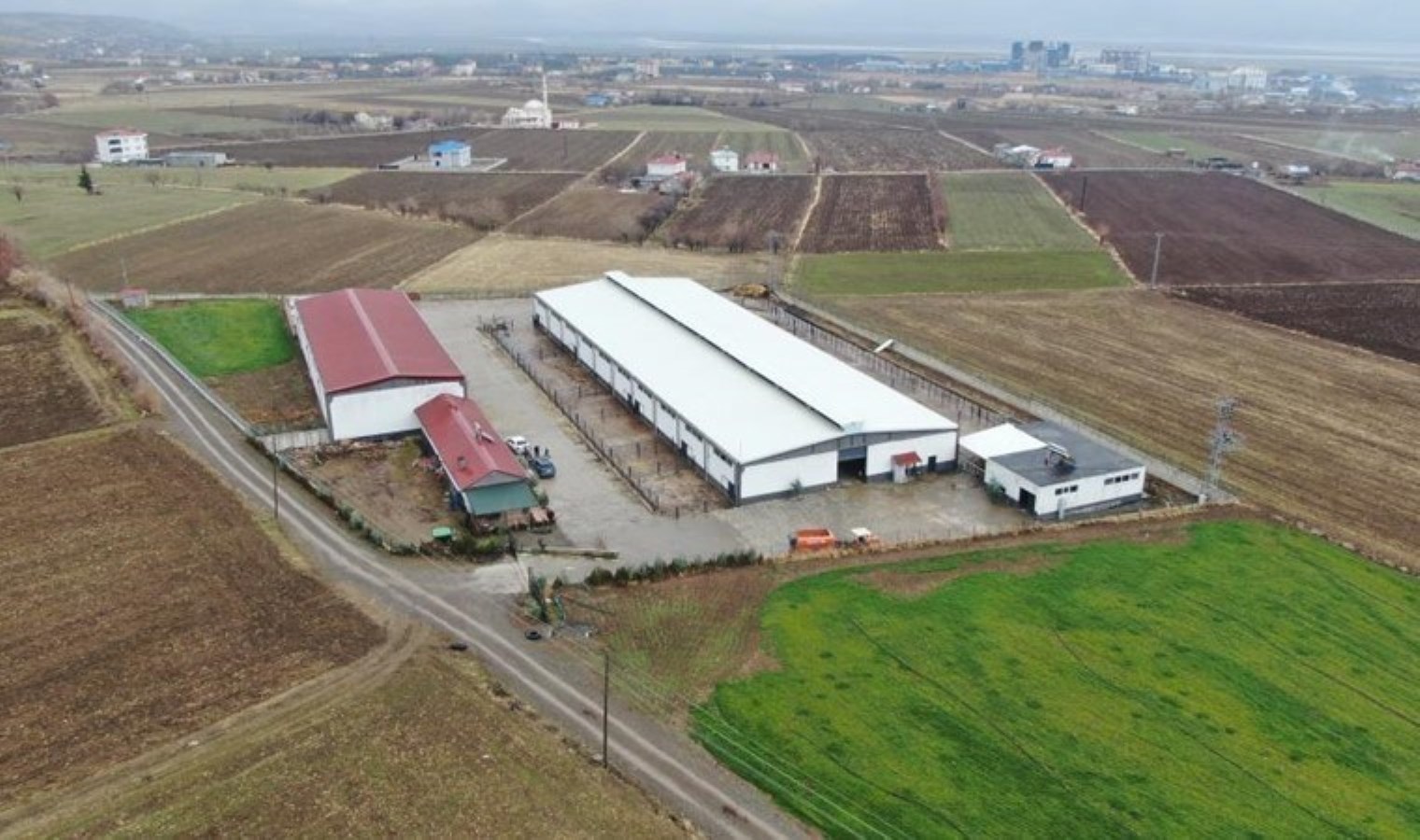 Almanya’dan köyüne döndü, hibe desteği alarak üretime başladı! Yılda 432 ton üretiyor….