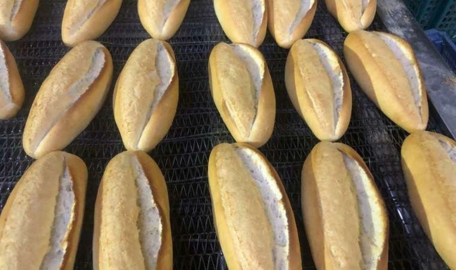 Ankara’da ekmeğe yüzde 25 zam: 10 TL’den 12,5 TL’ye yükseldi